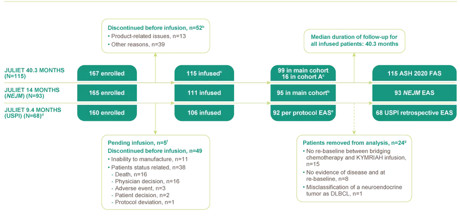 Flow chart of efficacy analysis data set size