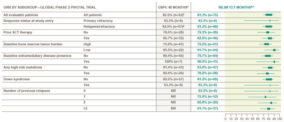 KYMRIAH remission by subgroup