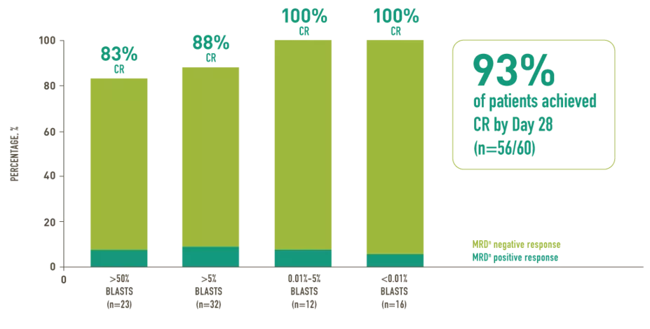 Remission rates by baseline disease burden with KYMRIAH