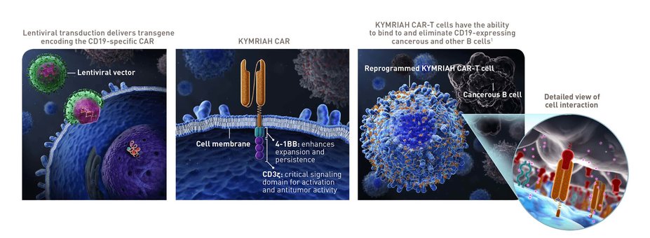 KYMRIAH CAR-T mechanism of action